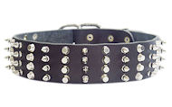 2 inch Leather Dog Collar with STUDS and SPIKES for Bulldog