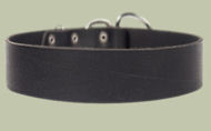 2 inch wide All Weather Leather Collar for English Bulldog