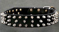 Black Spiked Leather Dog Collar for English Bulldog
