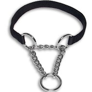 Personalized Martingale Collar Personalized Martingale Collar