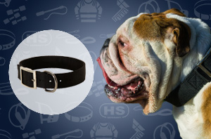 Dog collar