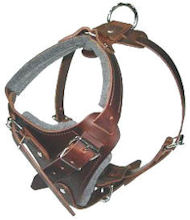 Dog Body Harness for English Bulldog-BEST Leather Dog Harness
