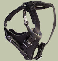 Durable Dog Harness-Leather Dog Harness for English Bulldog