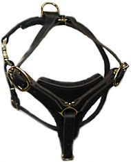 ENGLISH BULLDOG Dog Walking Harness H3