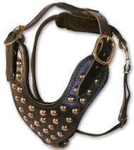 ENGLISH BULLDOG Studded Leather Dog Harness -H15