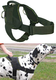 Best Dog Training Harness for ENGLISH BULLDOG