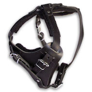ENGLISH BULLDOG Control Dog Harness - H1