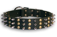 English Bulldog Spiked Black collar 23'' /23 inch dog collar-S59