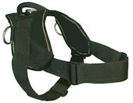 English Bulldog Nylon Dog Harness - H6