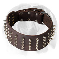 English Bulldog 3 inch Wide Genuine Leather Dog Collar with Spikes English Bulldog 3 inch Wide Genuine Leather Dog Collar with Spikes