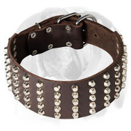 English Bulldog Large Genuine Leather Dog Collar Decorated with Studs English Bulldog Large Genuine Leather Dog Collar Decorated with Studs