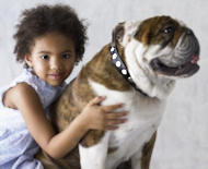 English bulldog Leather Dog Collar With Circles