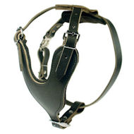 Heavy Duty Dog Harness for English Bulldog
