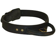 1 3/4 inch LEATHER DEPLOYMENT COLLAR for English Bulldog