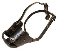 Latigo Safety Muzzle for English Bulldog