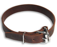 Leather Collar 1 inch wide for English Bulldog