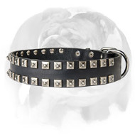 English Bulldog Fashionable “Caterpillar” Dog Collar with Buckle English Bulldog Fashionable “Caterpillar” Dog Collar with Buckle