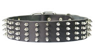 2 inch wide Leather Spiked Dog Collar for English Bulldog