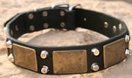 Gorgeous War Leather Dog Collar- brass massive+2 pyramids C85