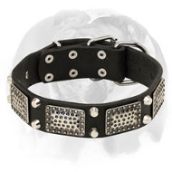 English Bulldog Leather Dog Collar with Massive Nickel Decorations English Bulldog Leather Dog Collar with Massive Nickel Decorations