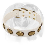 English Bulldog Limited Edition White Leather Dog Collar English Bulldog Limited Edition White Leather Dog Collar