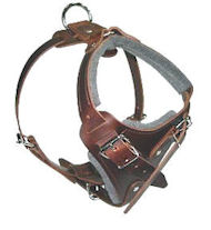 Medium dog Harness for English-Bulldog Leather Harness