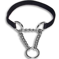 Martingale Dog Training Collar for English Bulldog