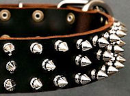 Protector Full Spiked Latigo Dog Collar for English Bulldog