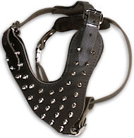 BUY Spike Dog Harness Manufacturers