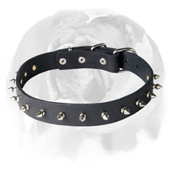 English Bulldog Leather Dog Collar with 1 Row of Spikes and Rivets English Bulldog Leather Dog Collar with 1 Row of Spikes and Rivets