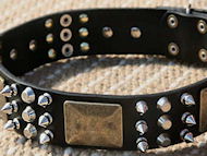 Bulldogs Dog Leather Dog Collar-brass massive plates&spikes