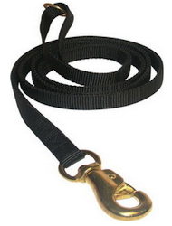 Tubular Nylon Waist Leads 6ft for English Bulldog