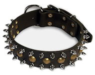 Handcrafted Leather Spiked / Studded Dog Collar S55