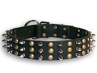 Bulldog spiked dog collar
