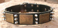 Gorgeous War Leather Dog Collar-massive bras plates+3 spikes C84
