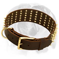 English Bulldog collar with rust-proof D-ring and solid metal buckle