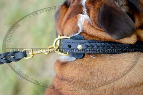 English Bulldog leather collar with solid D-ring