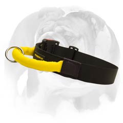 English Bulldog nylon dog collar with handle