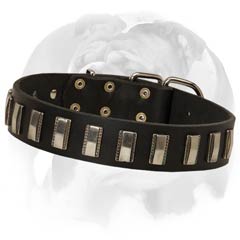 Leather Dog Collar specially for royal English Bulldog Breed