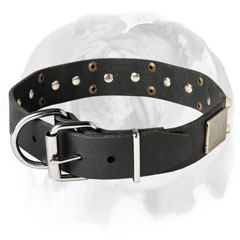 Superb Leather English Bulldog dog collar