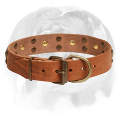 Leather Dog Collar English Bulldog with Brass Hardware