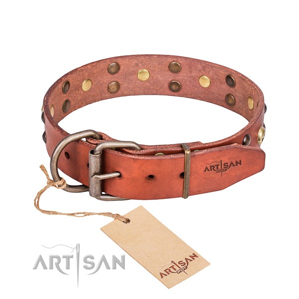 Fancy leather dog collar for safe pet control