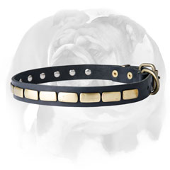 Leather dog collar for English Bulldog breed with decor
