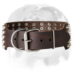 Leather English Bulldog collar with buckle