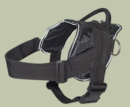 Dog pulling harness for English Bulldog