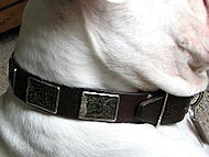 Leather Dog Collar for Bulldog With Vintage Massive Plates