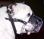 Short Nose Dog Muzzle for English Bulldog-Short Nose Dog Muzzle