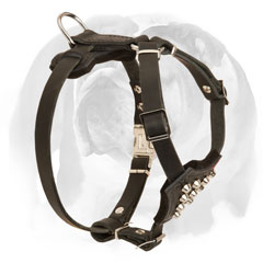 High-quality leather Bulldog harness for puppies