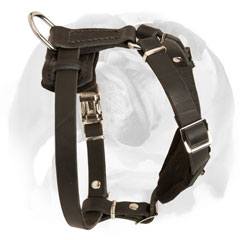 Decorated with cones leather dog harness for Bulldog puppies