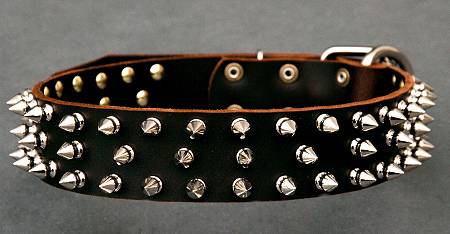 Leather Spiked Dog Collar for English bulldog